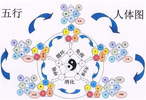 数字对应五行|易经学基础理论：数字的五行属性及其应用